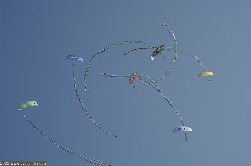 Fly-Parapente/icare/2003/part2/DSC_3445.JPG